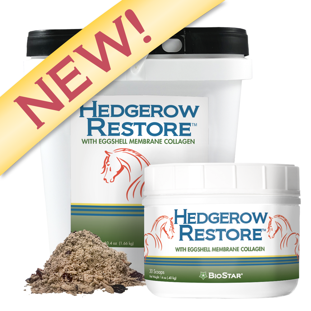 Hedgerow Restore for equine gut support | BioStar US