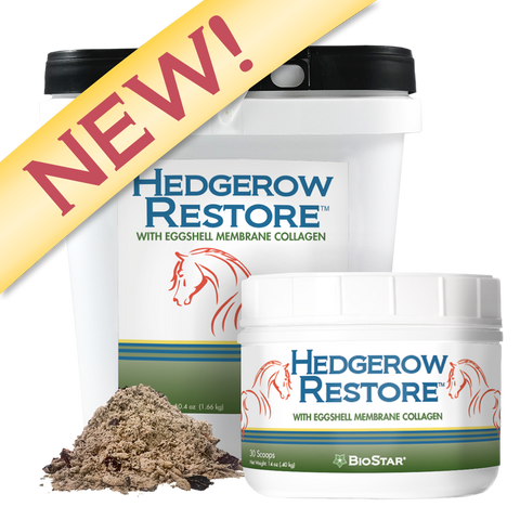 Hedgerow Restore for equine gut support | BioStar US