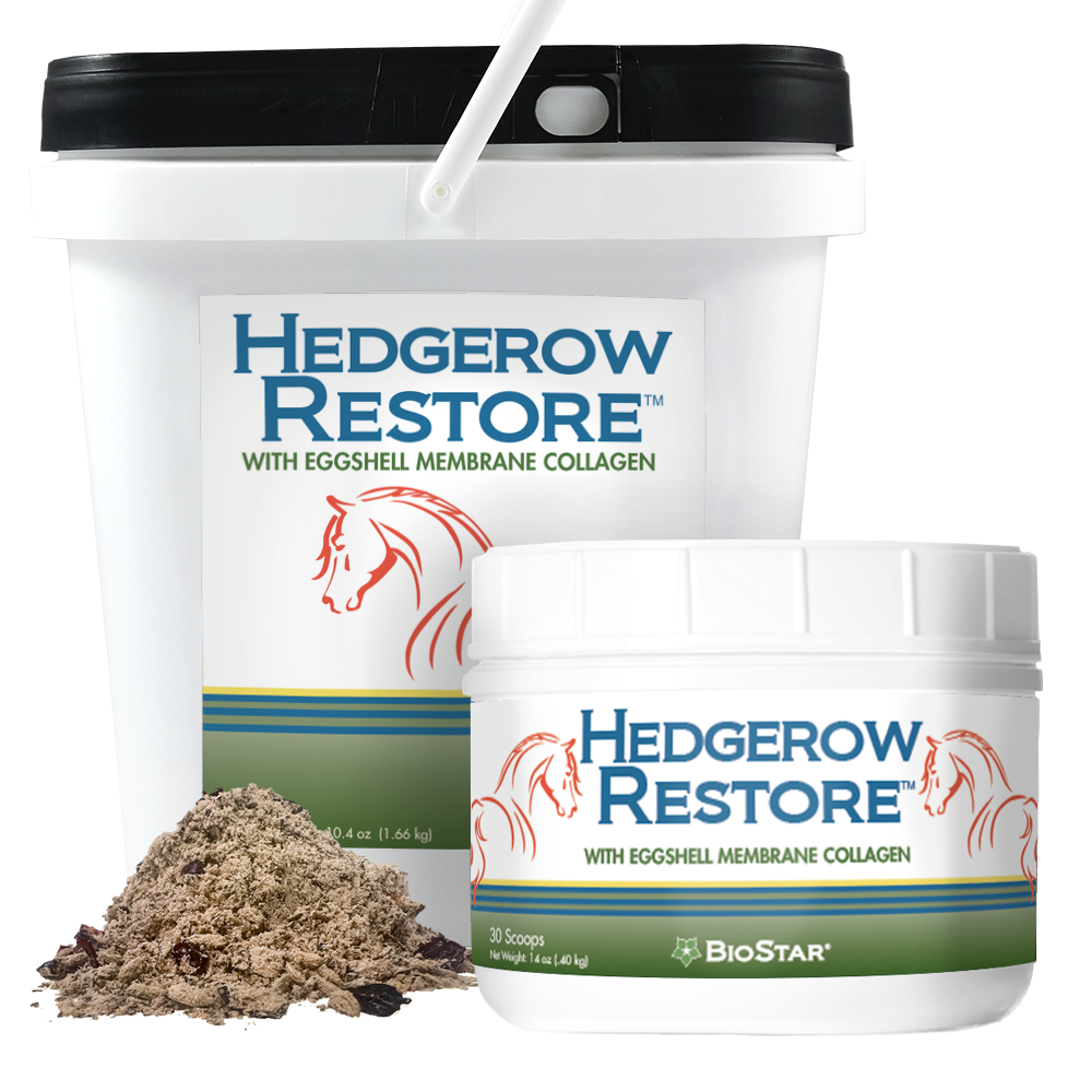 Hedgerow Restore for equine gut support | BioStar US