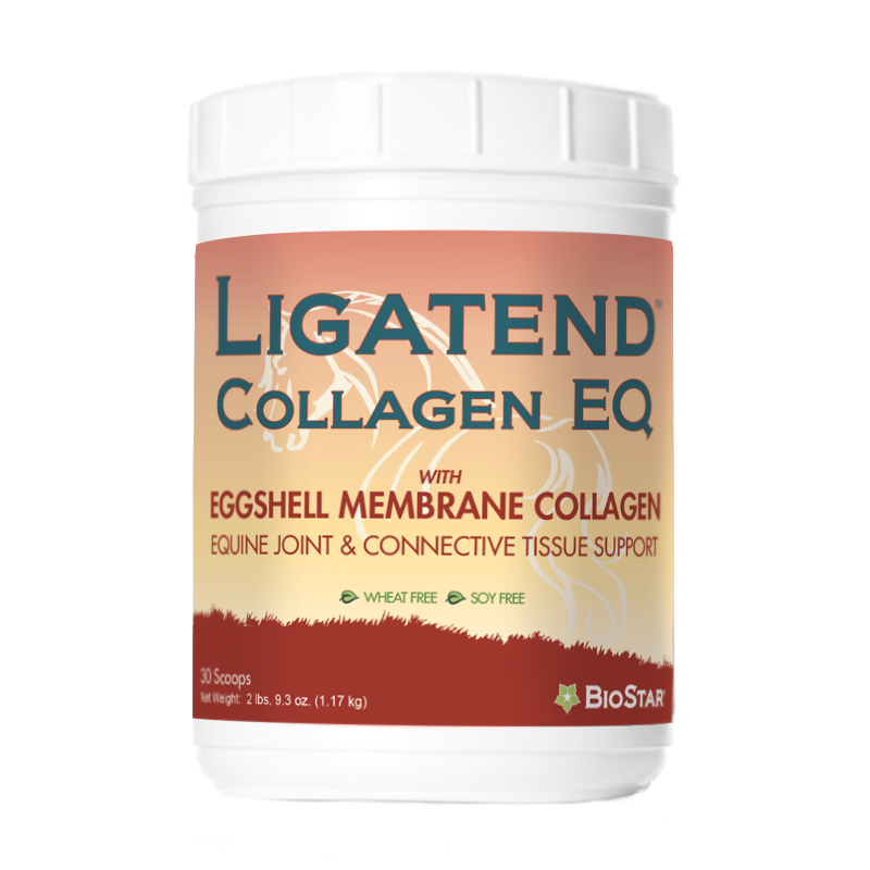 Ligatend Collagen EQ for healthy equine joints and connective tissue with Collagen | BioStar US