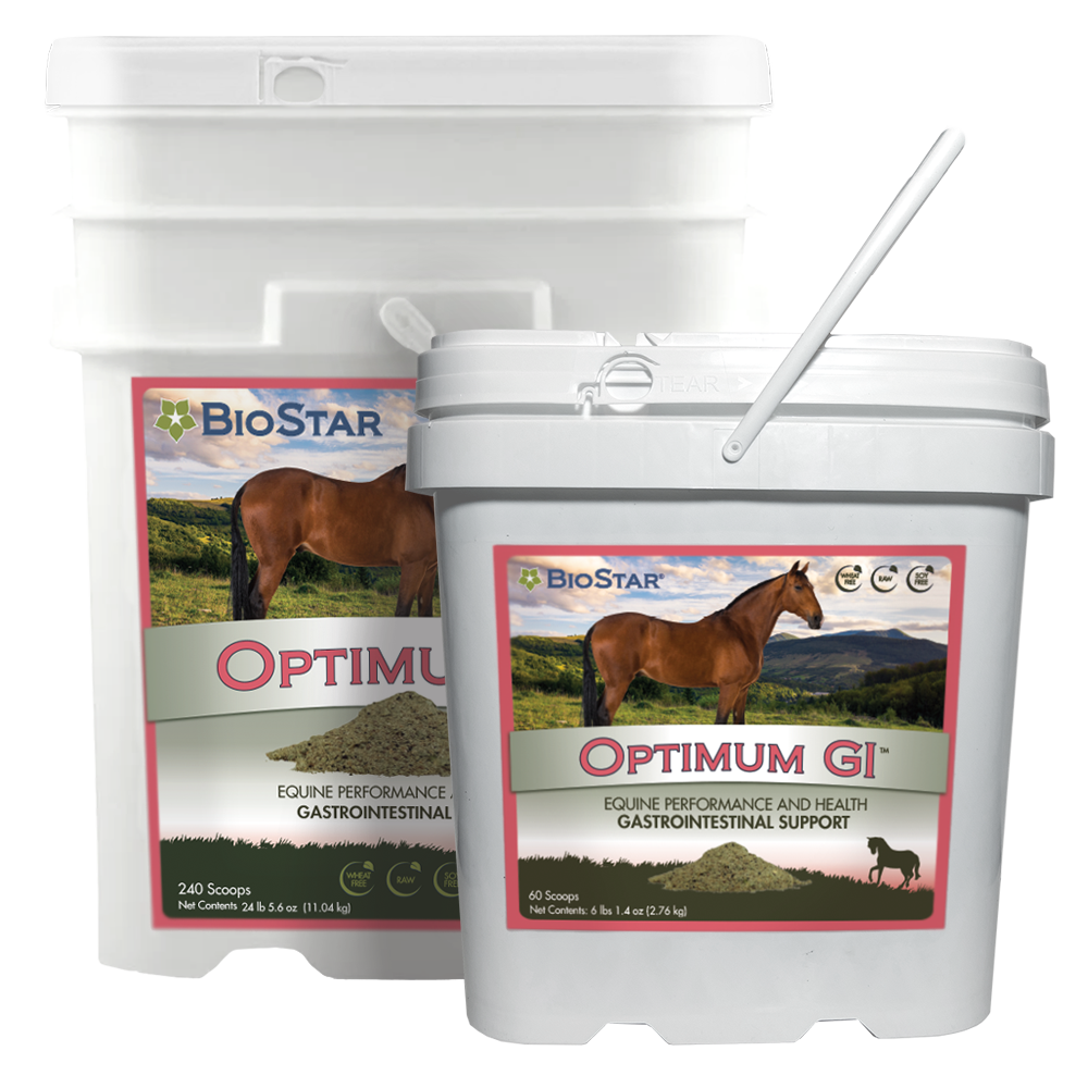 Optimum GI Multivitamin and Mineral with GI Support | BioStar US