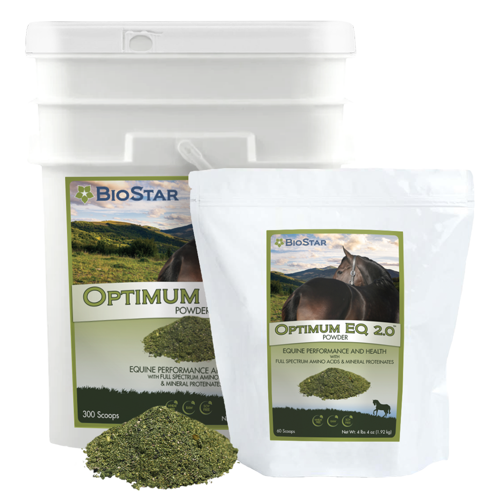 Optimum 2.0 Equine Wellness formula | BioStar US