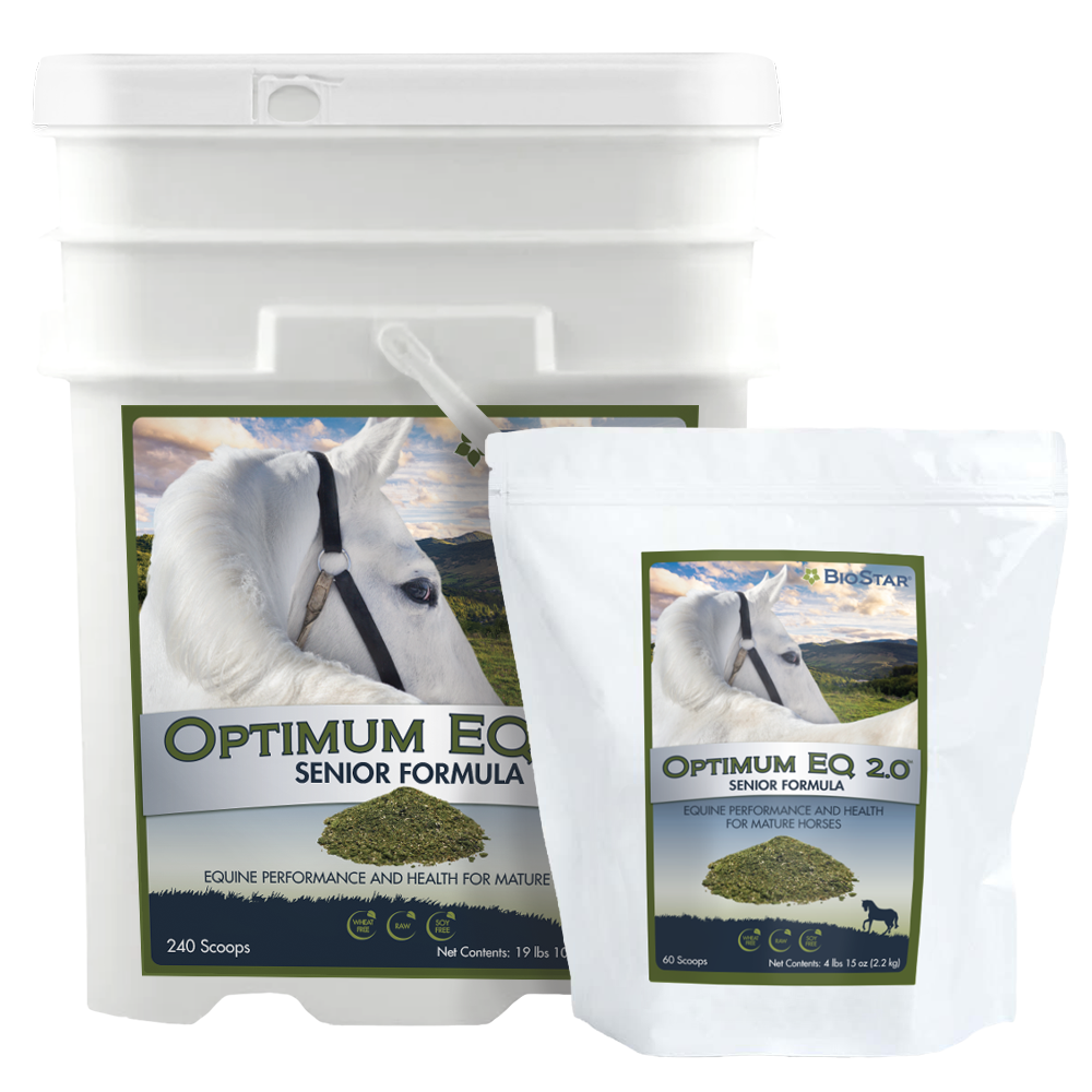 Optimum EQ Senior Multivitamin &amp; Mineral Supplement for Older Horses | BioStar US