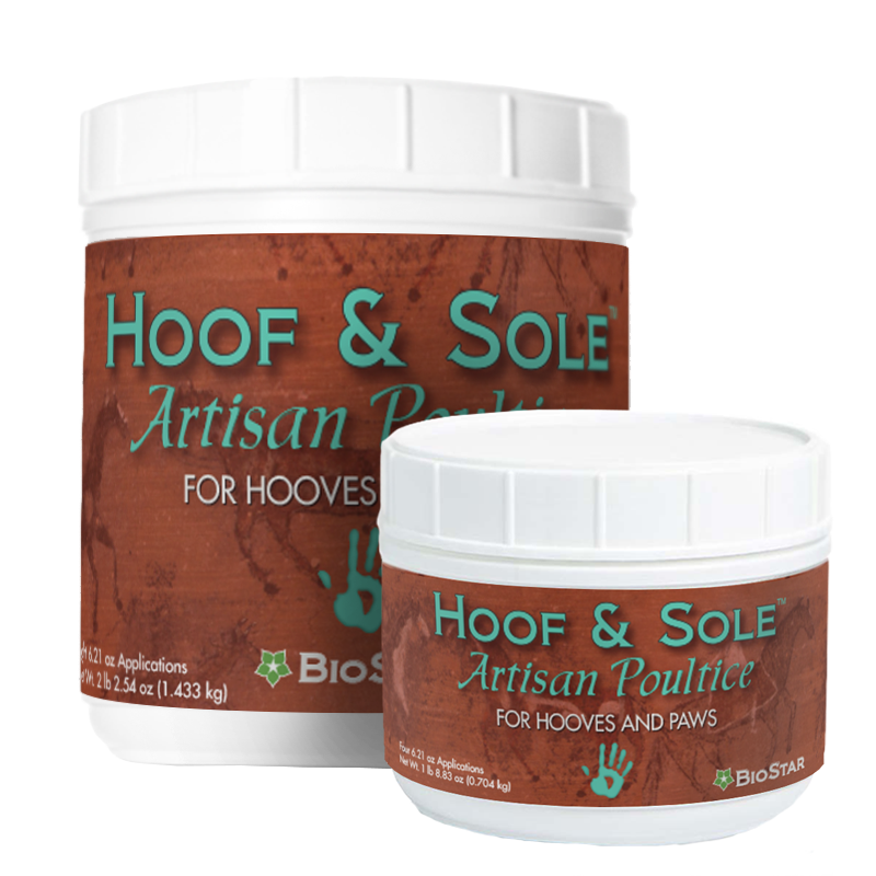 Hoof &amp; Sole Artisan Poultice from BioStar US