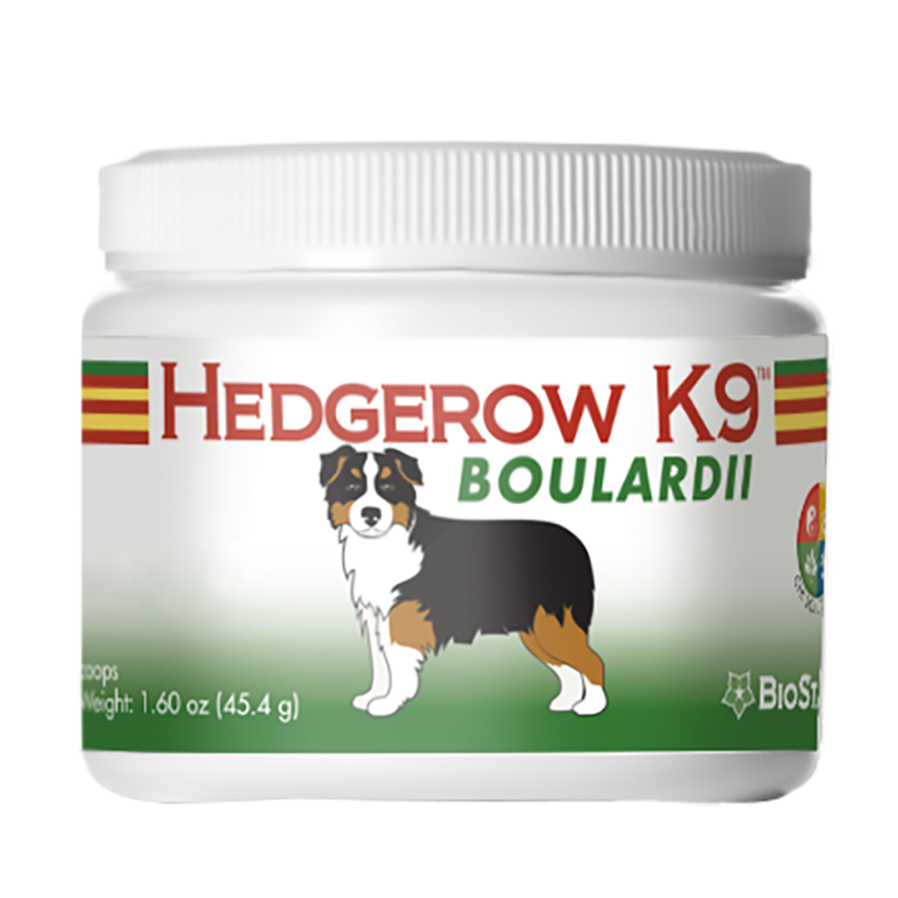 Hedgerow K9 Boulardii for dogs | BioStar US