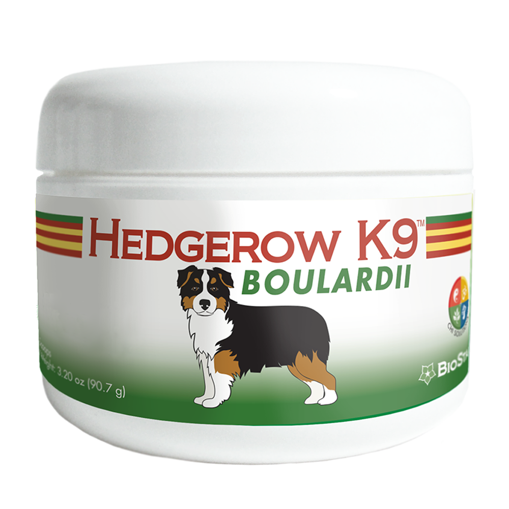 Hedgerow K9 Boulardii for dogs | BioStar US