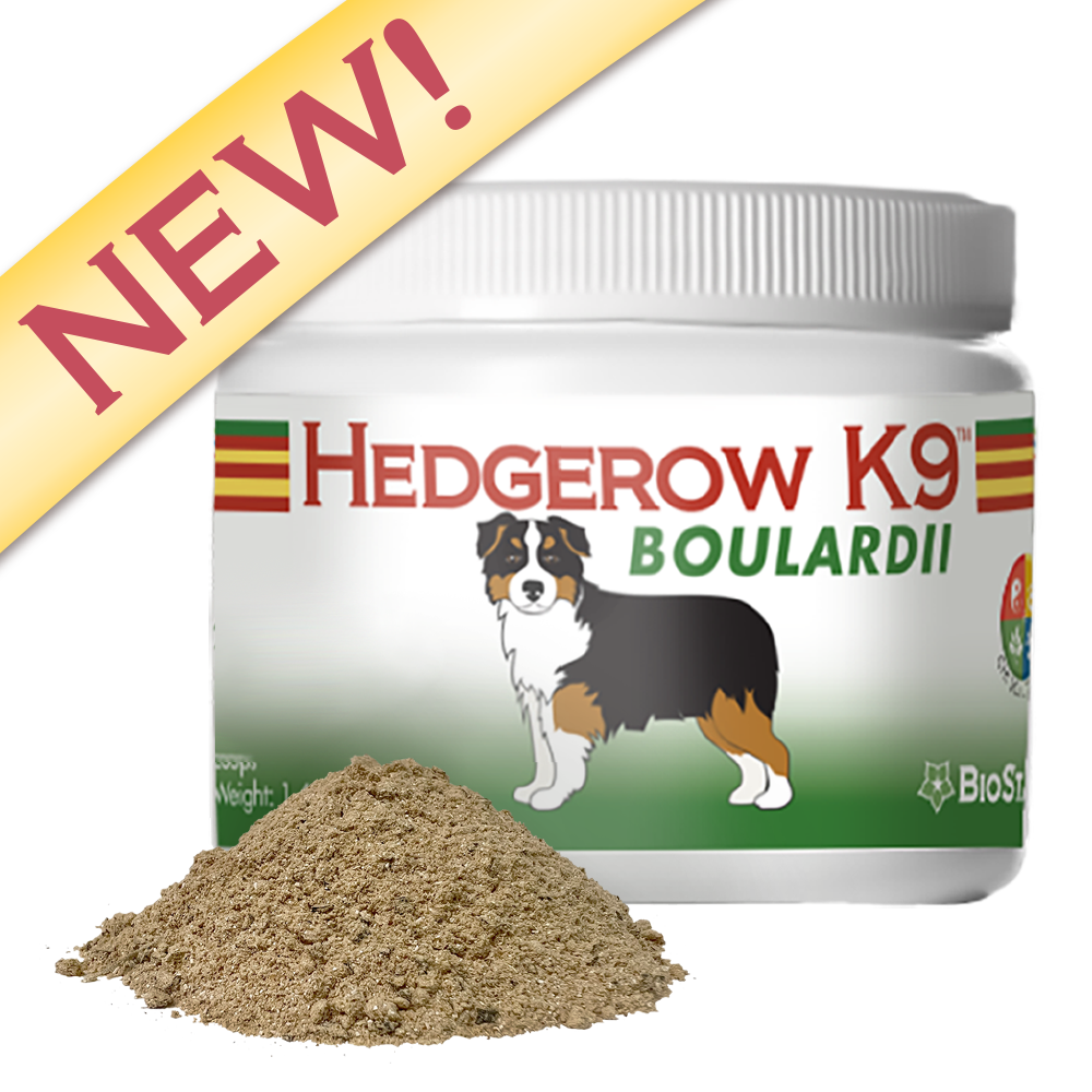 Hedgerow K9 Boulardii for dogs | BioStar US