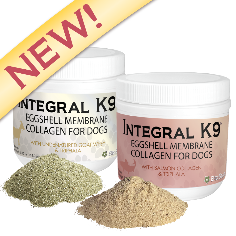 Integral K9 Eggshell Membrane Collagen supplements for dogs | BioStar US