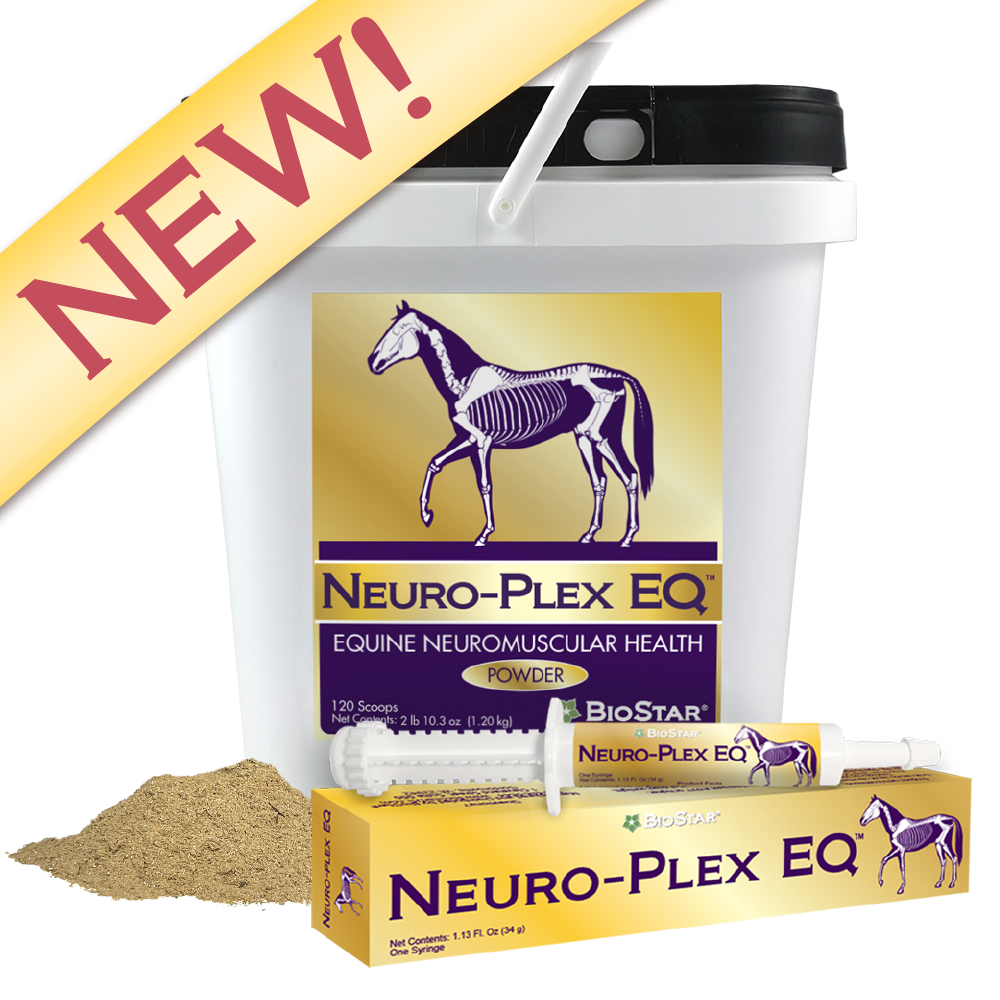 Neuro-Plex EQ