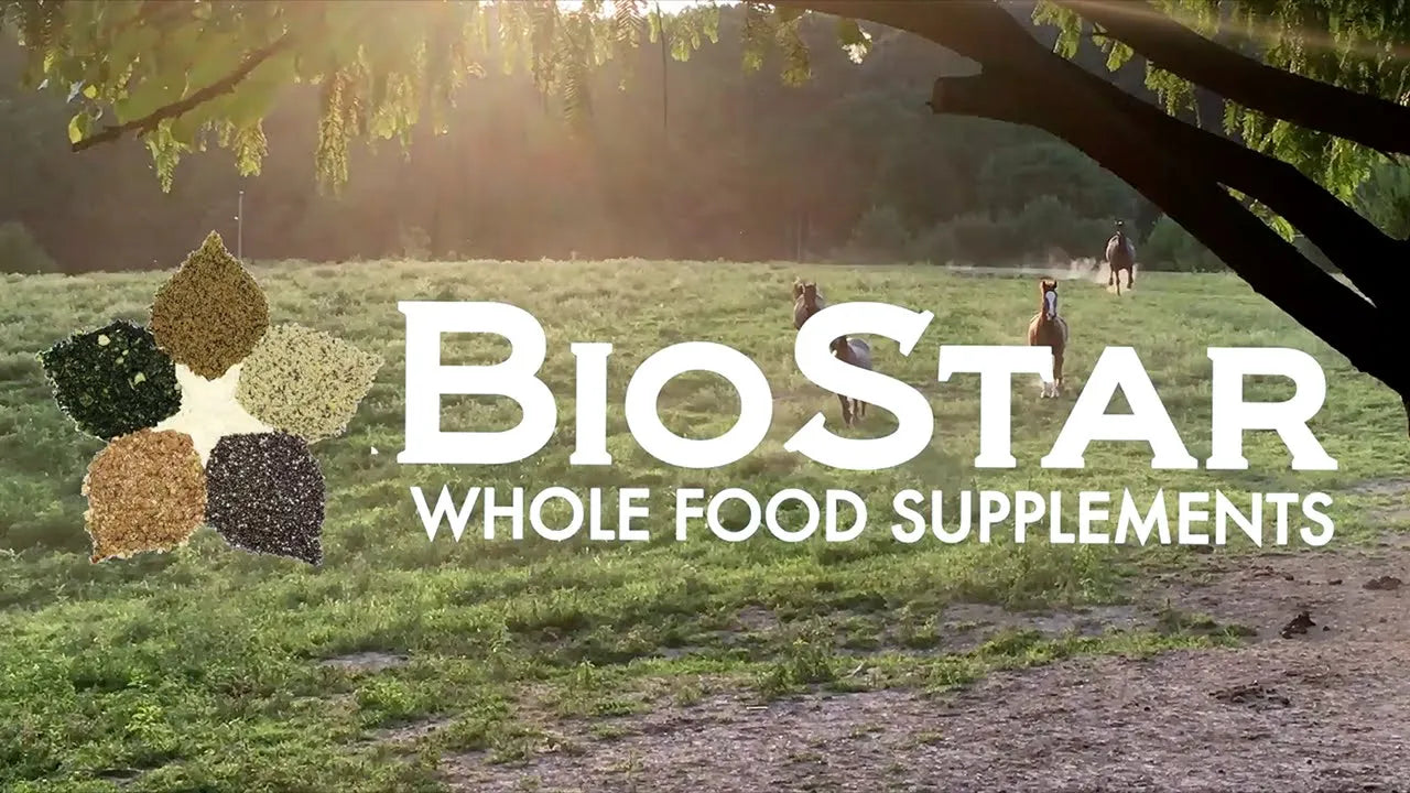 Load video: See what BioStar US is all about