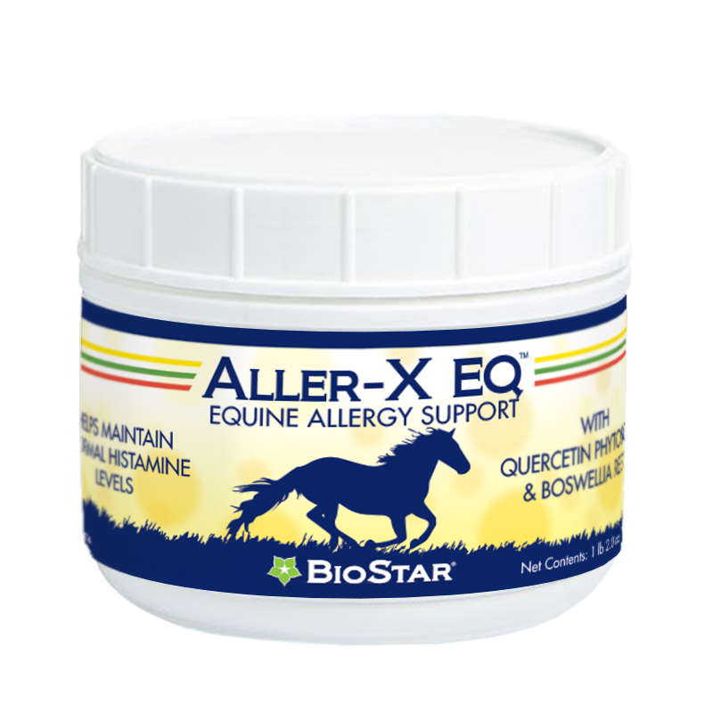 Allergy and Immune Support for Horses, helps maintain healthy histamine levels | BioStar