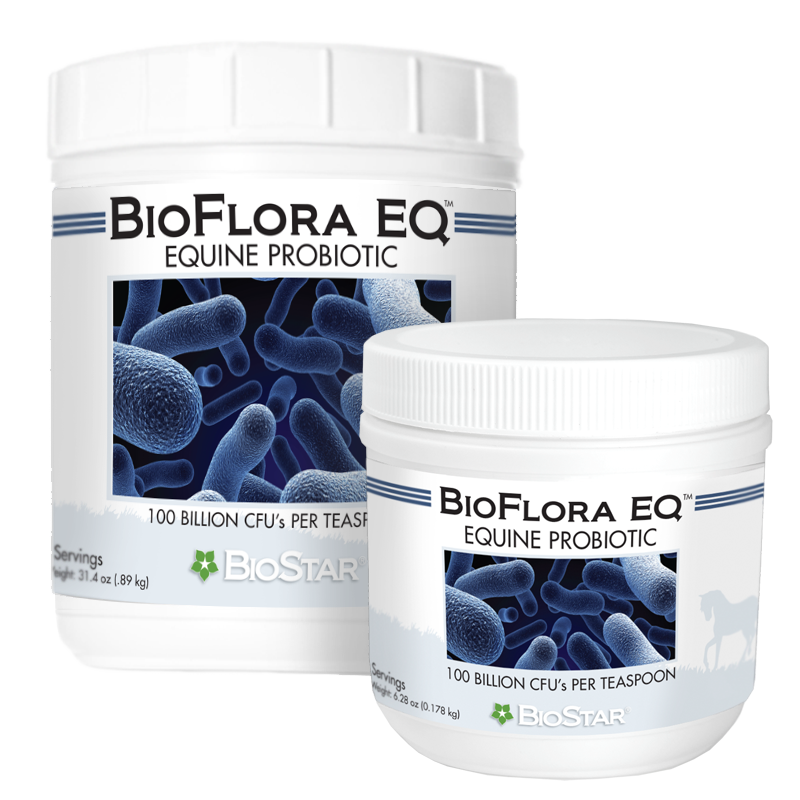 BioFlora EQ - Prebiotic - Probiotic for Horses -|BioStar US