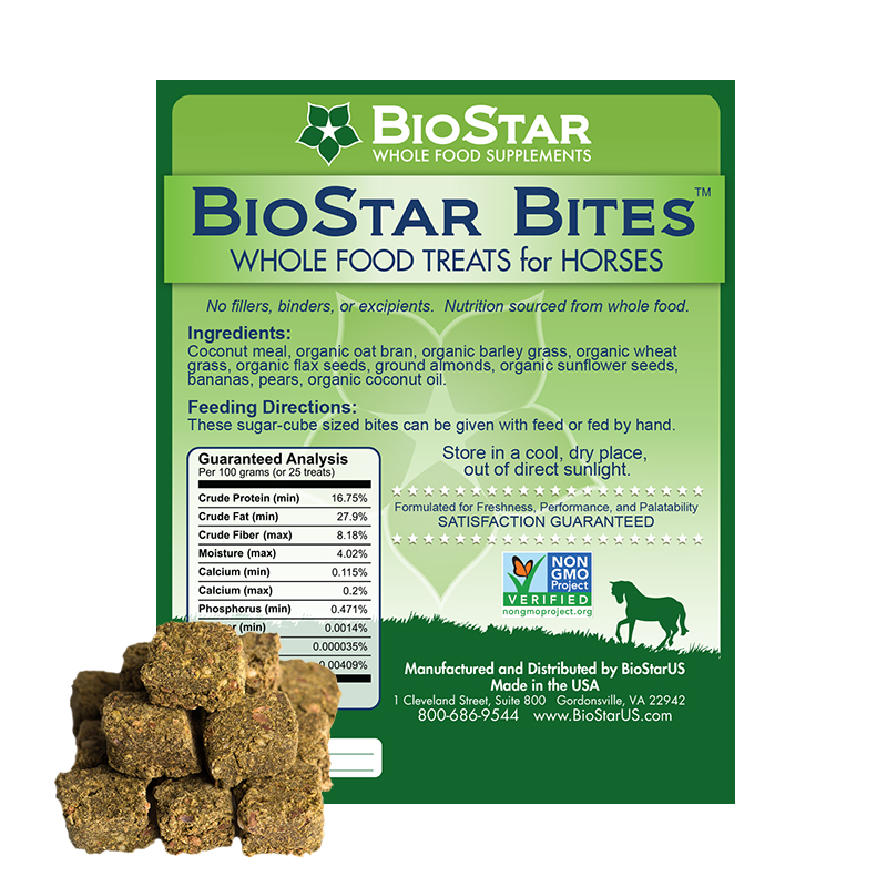 BioStar US  Star Power EQ Equine Energy Paste – BioStarUS