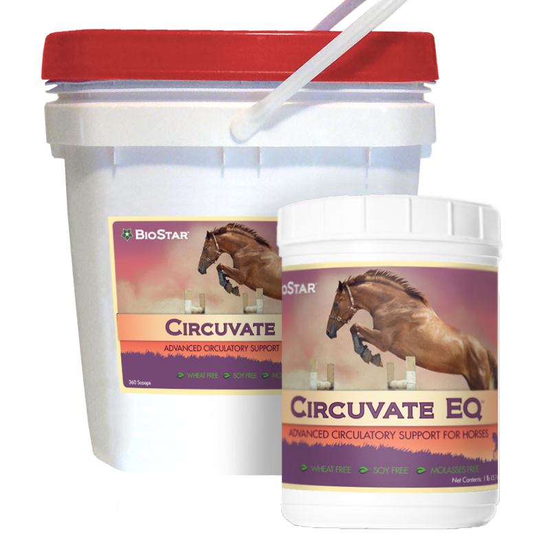 Circuvate EQ by BioStar US, an advanced formula for equine circulation support