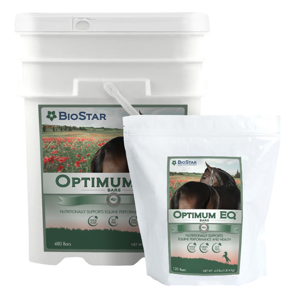 Optimum EQ Multivitamin &amp; Mineral Supplement for Horses | BioStar US