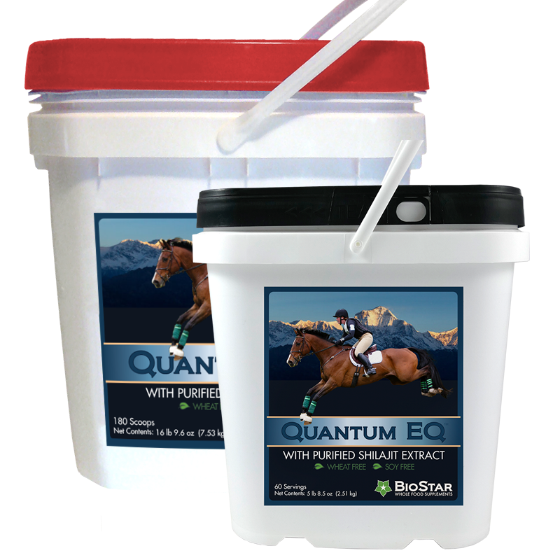 Quantum EQ - Bulk 180 scoops - by BioStar US