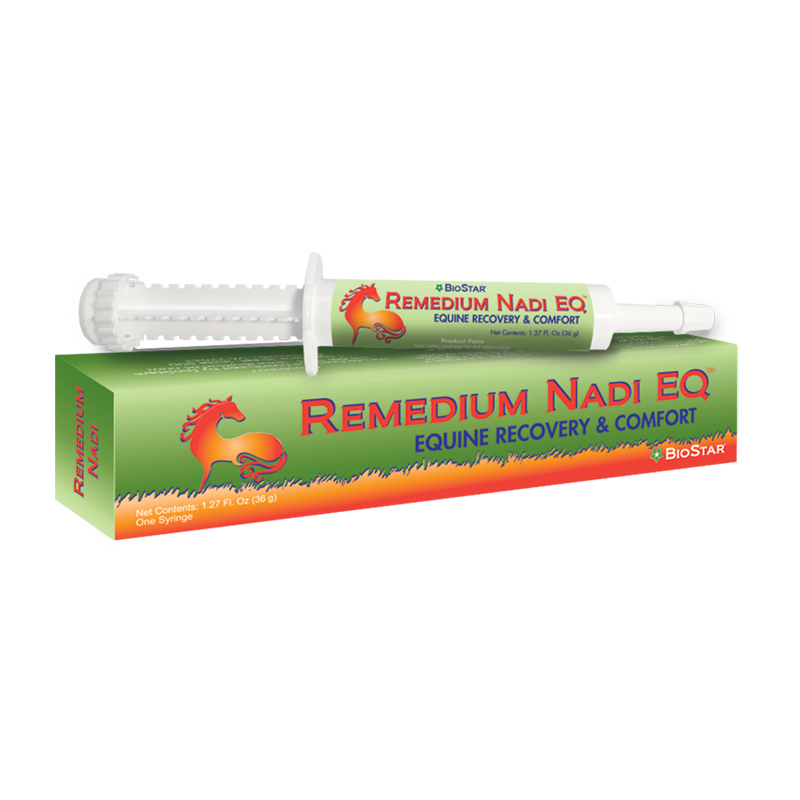 Remedium Nadi Recovery &amp; Comfort Syringe Paste | BioStar US