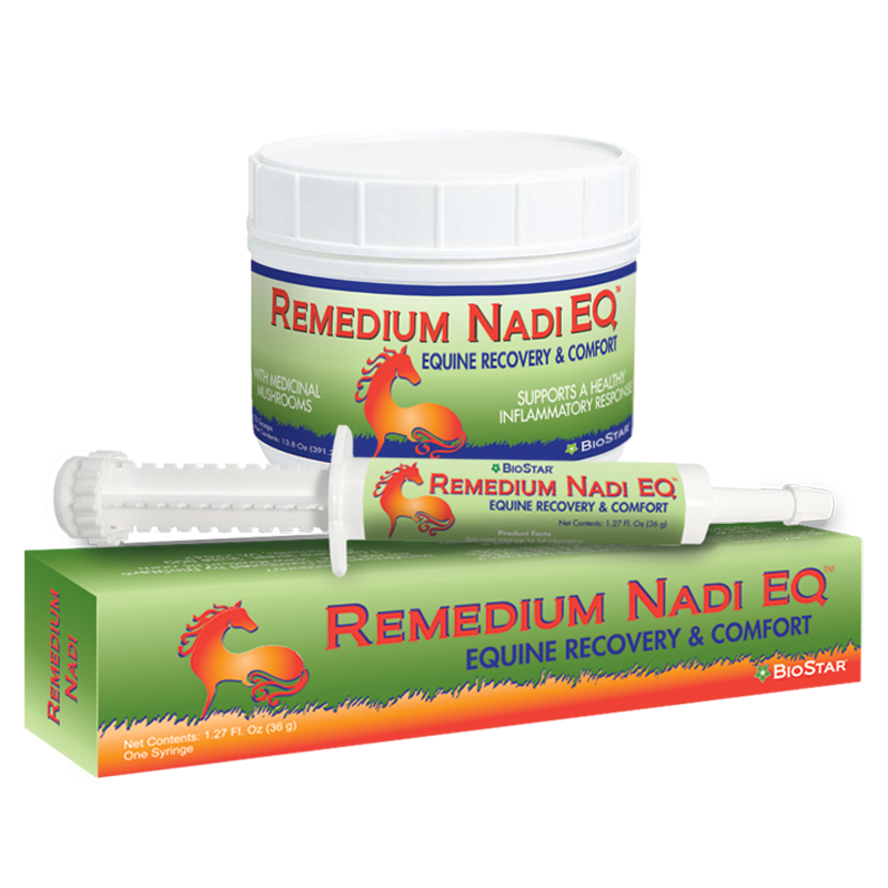 Remedium Nadi Recovery &amp; Comfort Syringe Paste | BioStar US