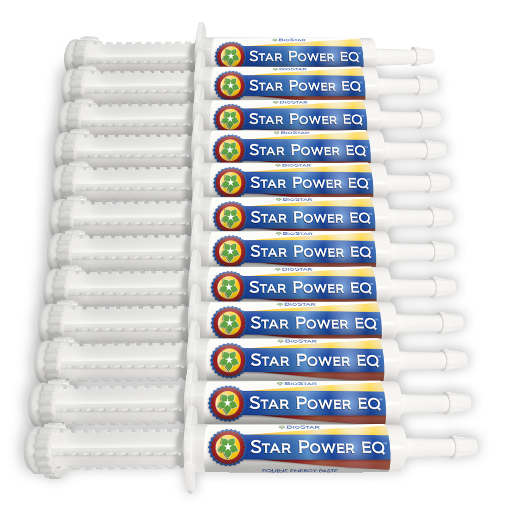 Equine energy paste syringe for performance horses by BioStar