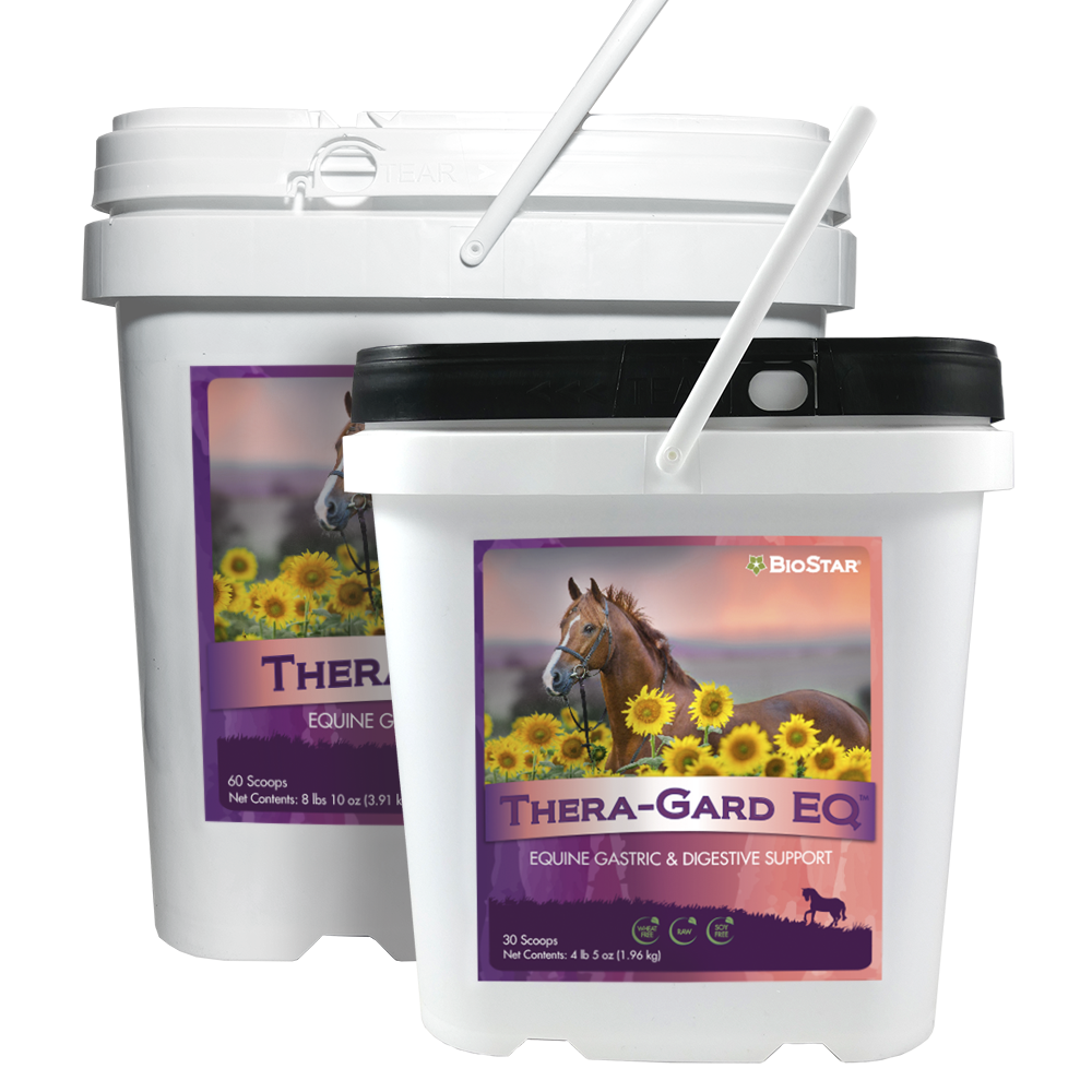 Thera-Gard EQ Gastric &amp; Digestive Support for Horses | BioStar US