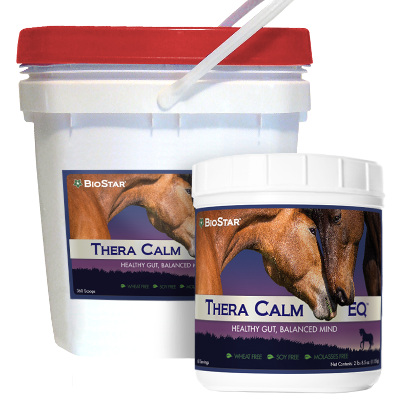 Thera Calm EQ Calming for Horses | BioStar US