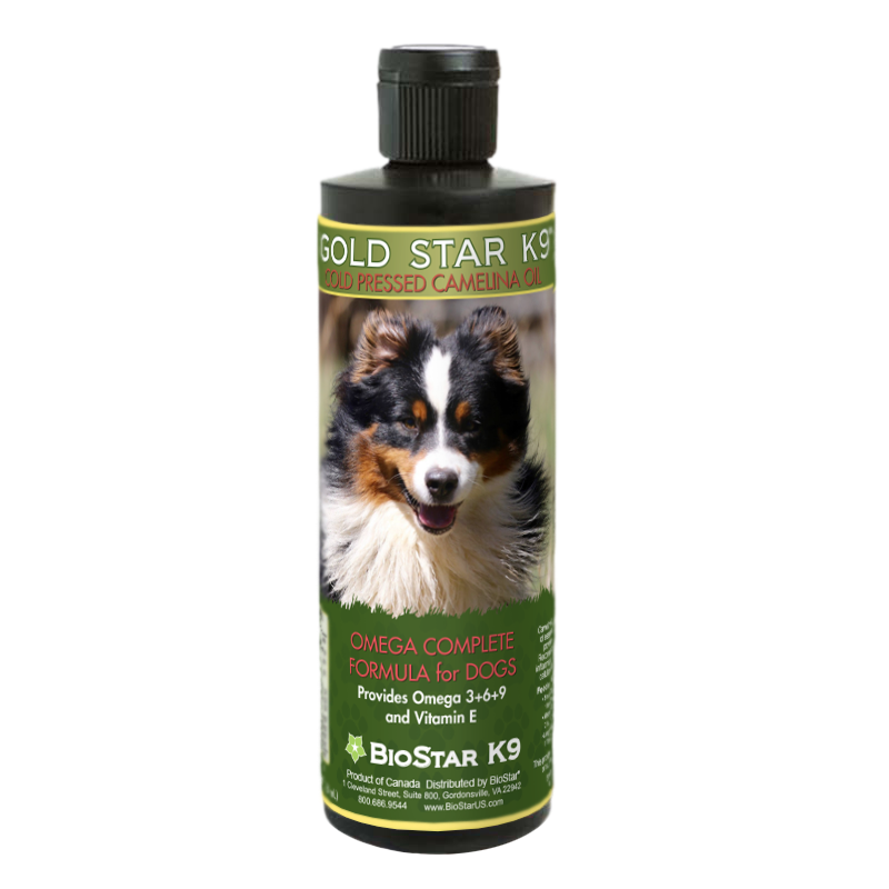 Gold Star K9 - cold pressed camelina oil for dogs, from BioStar US