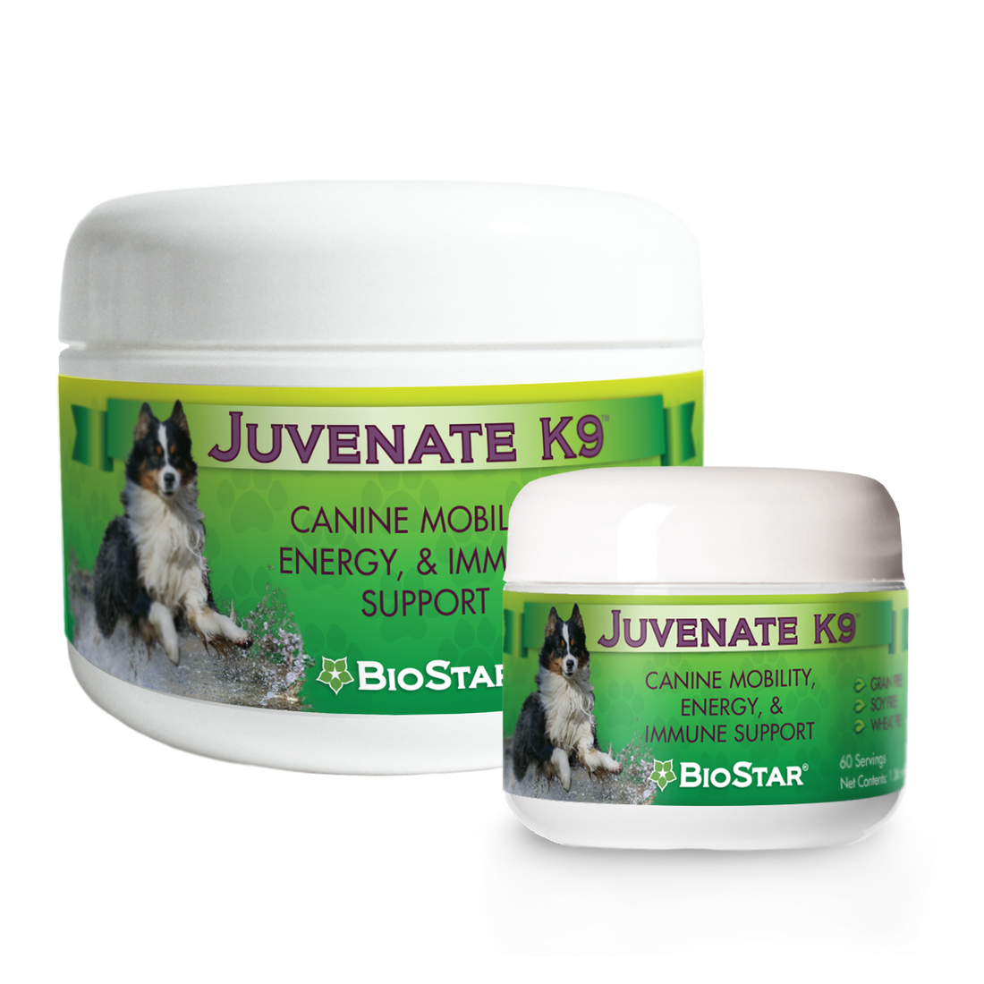 Juvenate K9 Supplement for Dogs | Joints, Circulation, Weight Management | BioStar US